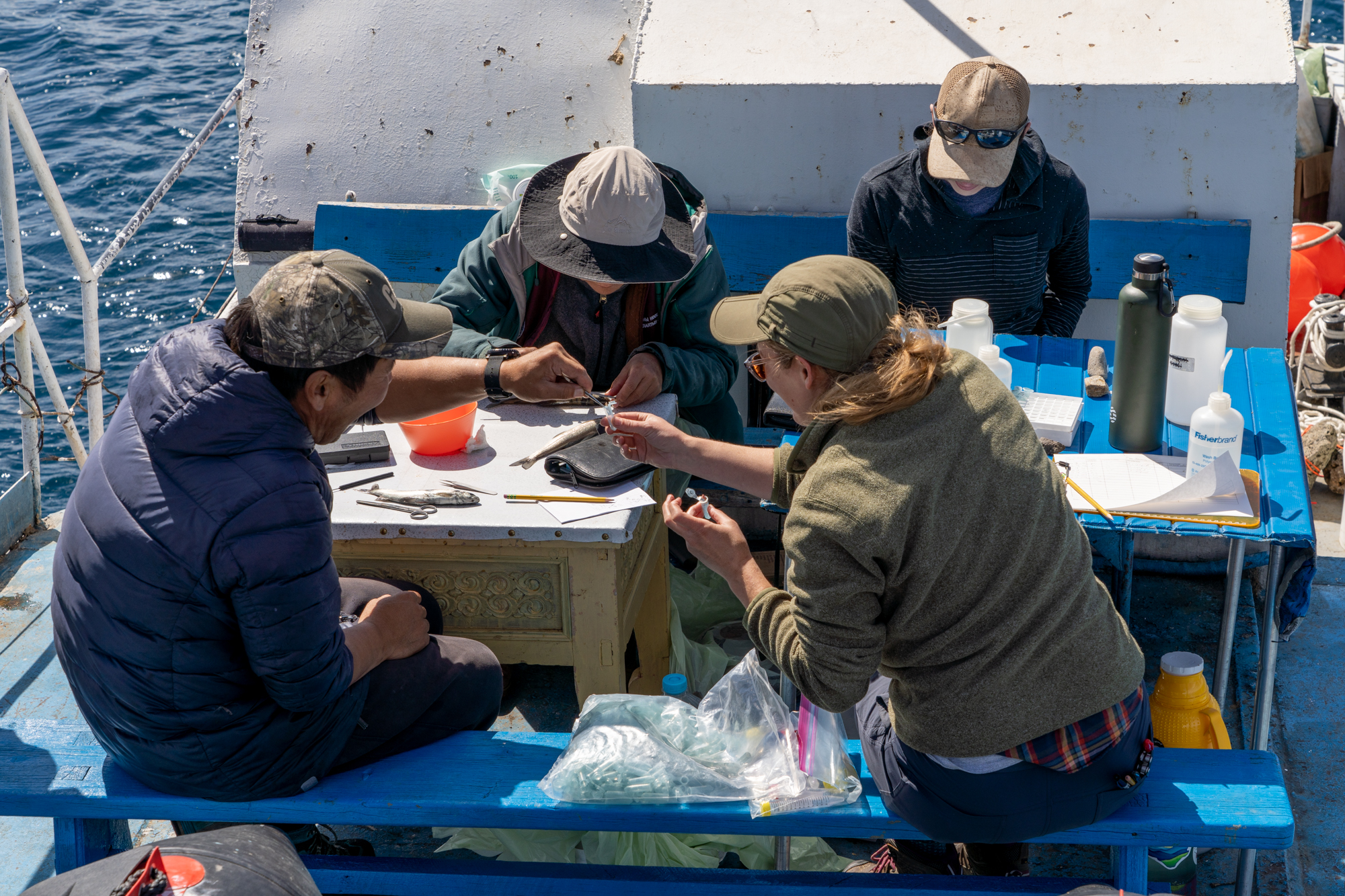 Four scientists working around a table on a boat